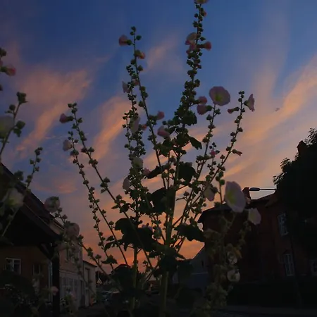Bed & Breakfast Kobmandsgardens Kerteminde