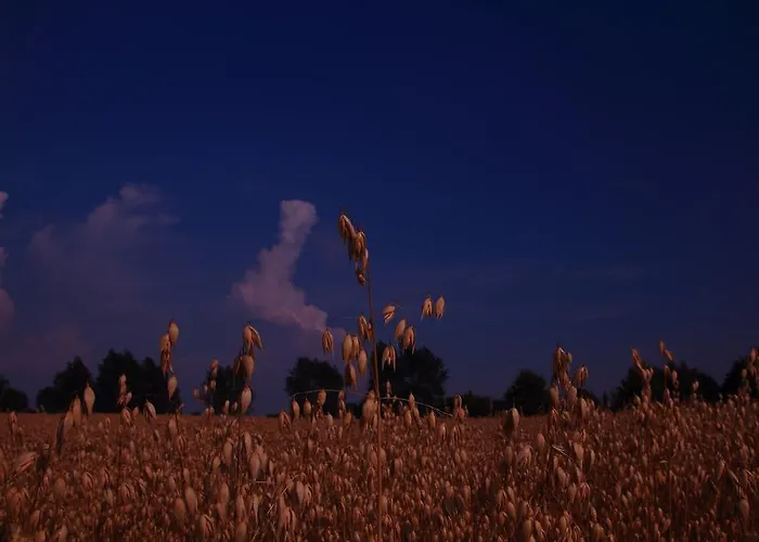 Kobmandsgardens Kerteminde